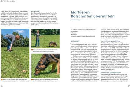 Kosmos Sprachkurs Hund mit Martin Rütter (Deutsch, 2022, Martin Rütter, Andrea Buisman)