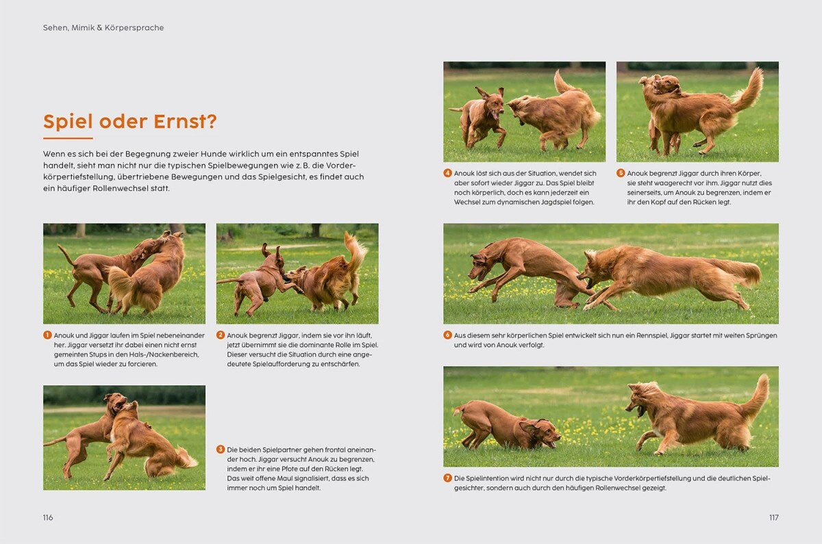 Kosmos Sprachkurs Hund mit Martin Rütter (Deutsch, 2022, Martin Rütter, Andrea Buisman)