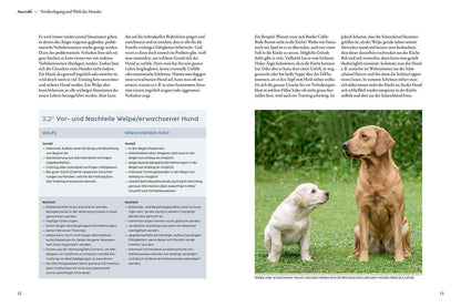 Kosmos Welpentraining mit Martin Rütter (Deutsch, 2022, Martin Rütter)