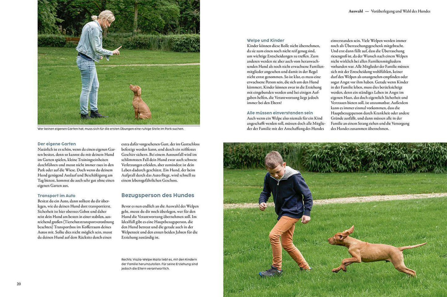 Kosmos Welpentraining mit Martin Rütter (Deutsch, 2022, Martin Rütter)