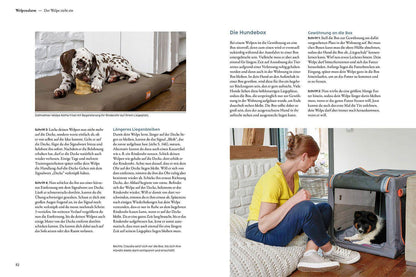 Kosmos Welpentraining mit Martin Rütter (Deutsch, 2022, Martin Rütter)