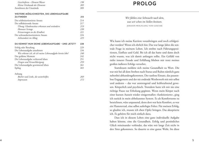 GU Ich lese deine Lebensaufgabe (Deutsch, 2022, Eric Standop)