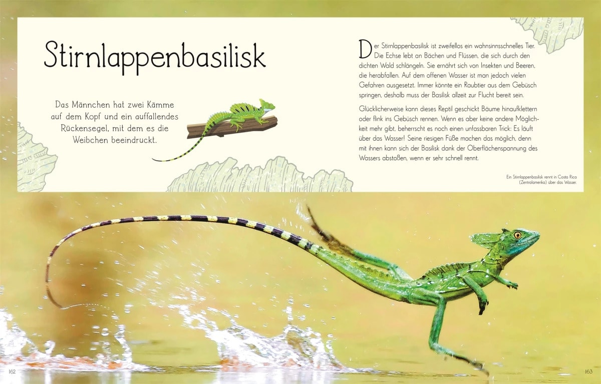 Dorling Kindersley Wundervolle Welt. Wasser (Deutsch, 2023, Daniel Long Sam Hume)