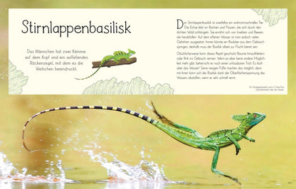 Dorling Kindersley Wundervolle Welt. Wasser (Deutsch, 2023, Daniel Long Sam Hume)