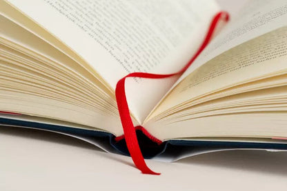 Heyne Später (Deutsch, 2021, Stephen King)