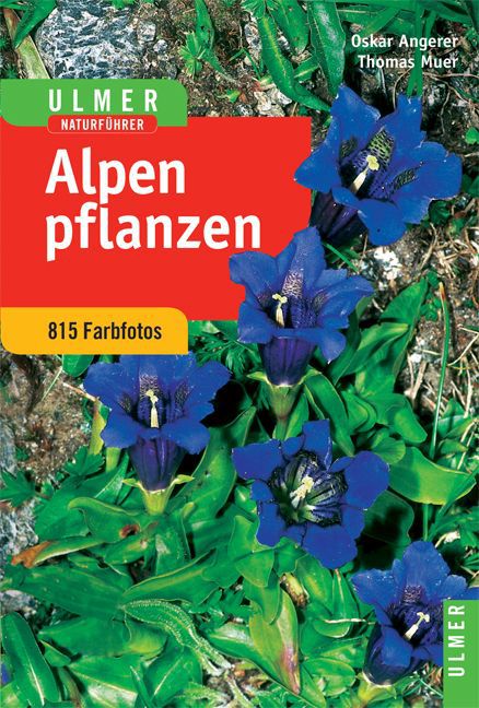 Alpenpflanzen (Thomas Muer)