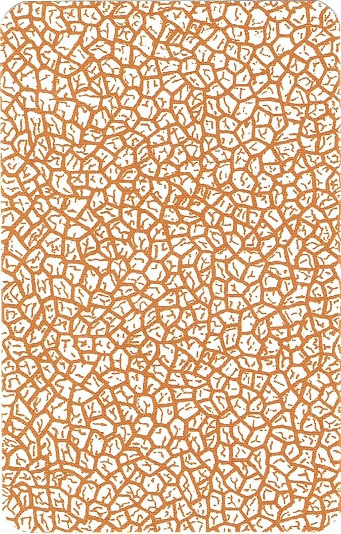 Königsfurt-Urania Tarot für Anfänger (Deutsch, 2017, Hajo Banzhaf)