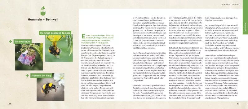 GU Quickfinder Artenvielfalt im Gartenjahr (Deutsch, 2023, Antje Arnold)