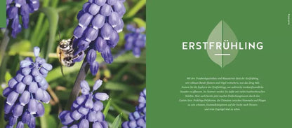 GU Quickfinder Artenvielfalt im Gartenjahr (Deutsch, 2023, Antje Arnold)