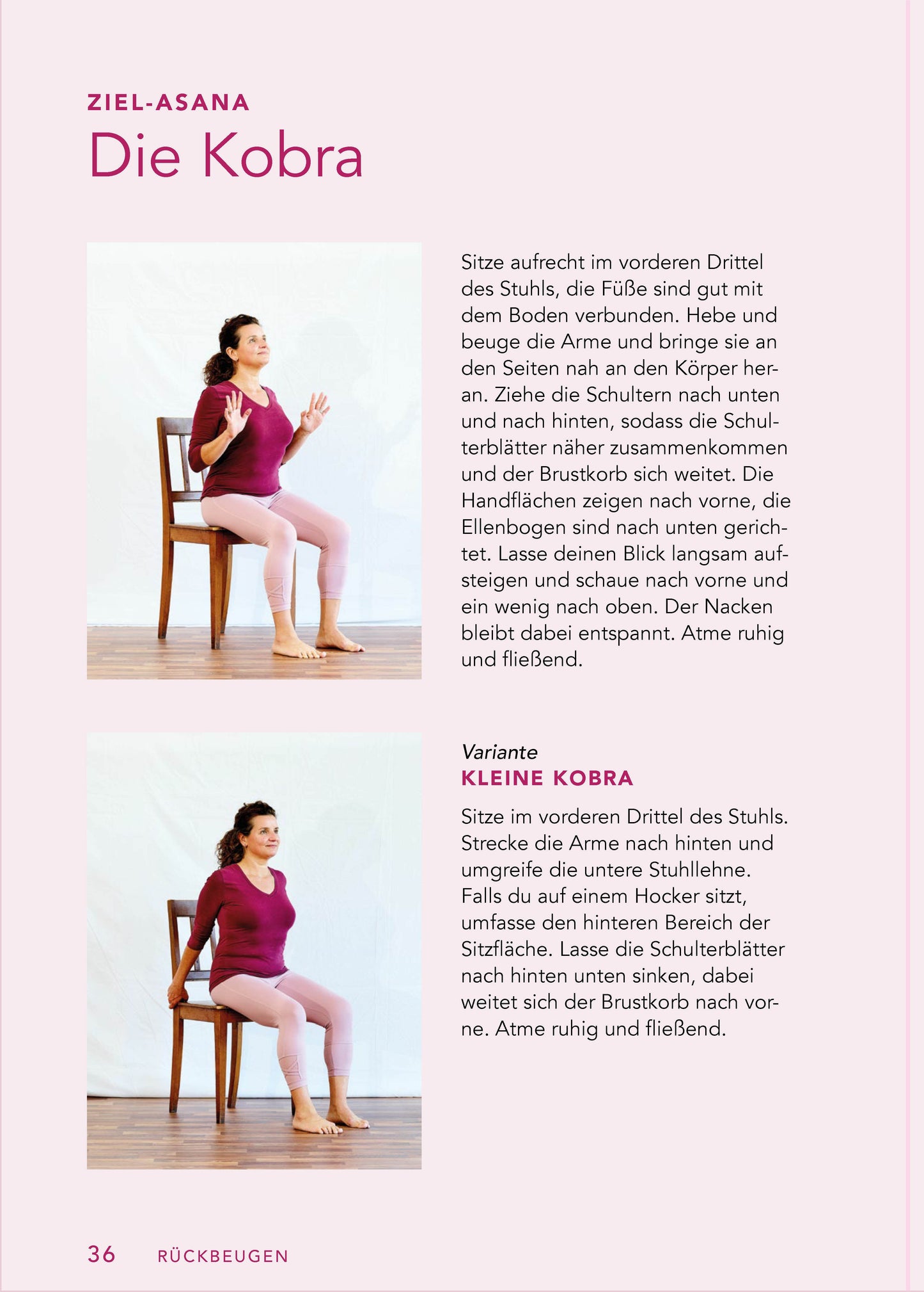 Singliesel Yoga auf dem Stuhl für Senioren (Deutsch, 2022, Christine Grein-de Lima)