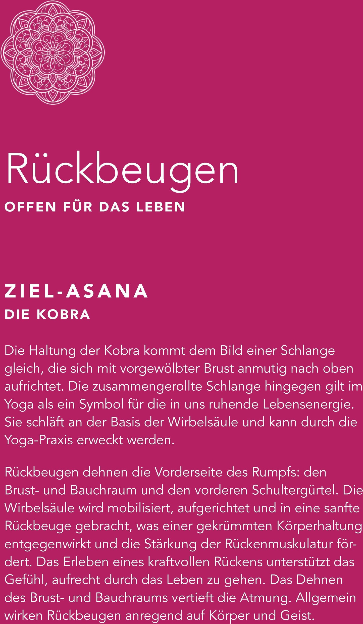 Singliesel Yoga auf dem Stuhl für Senioren (Deutsch, 2022, Christine Grein-de Lima)