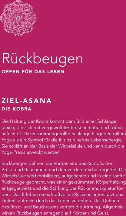 Singliesel Yoga auf dem Stuhl für Senioren (Deutsch, 2022, Christine Grein-de Lima)
