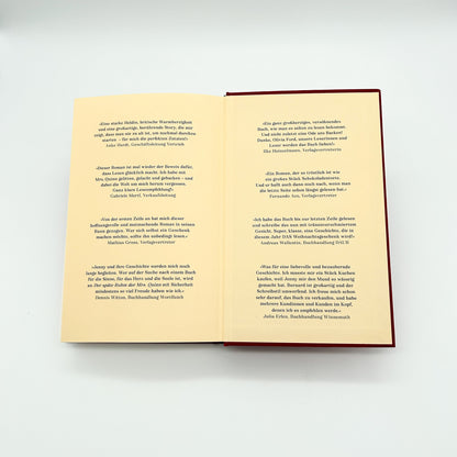 DTV Der späte Ruhm der Mrs. Quinn (Deutsch, 2023, Olivia Ford)