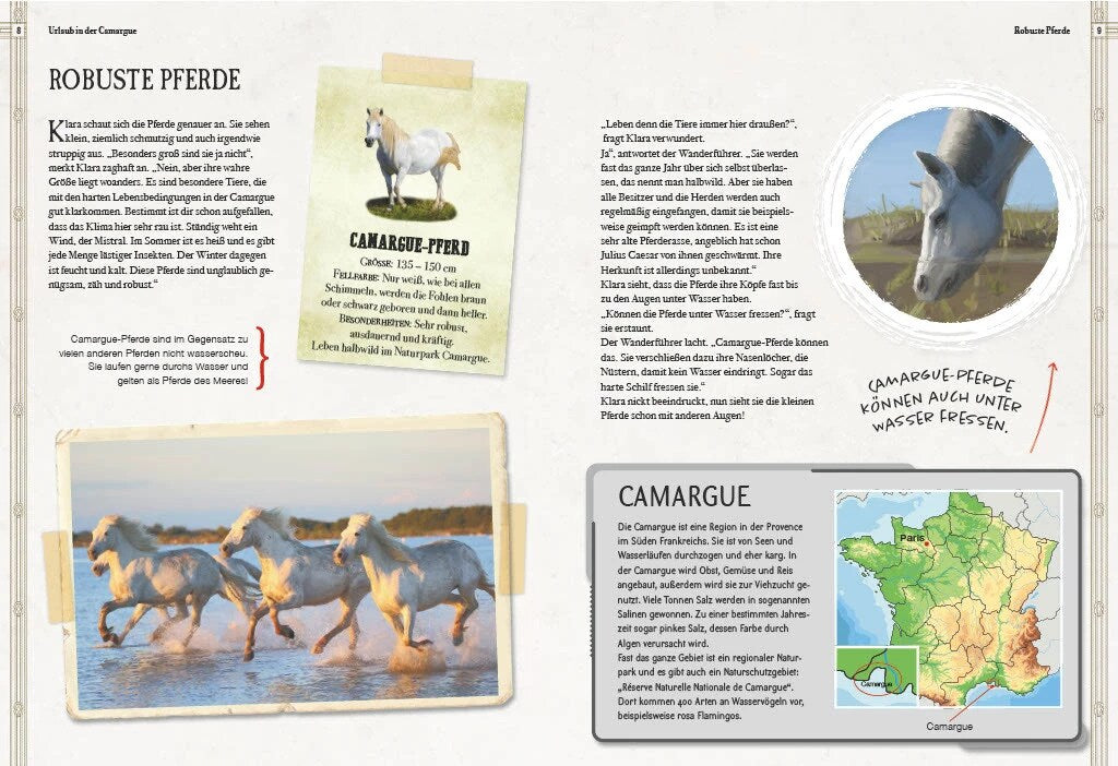 Sophie Verlag Verborgene Welt der Pferde (Deutsch, 2023, Babette Pribbenow, Giuseppe Cantarella)