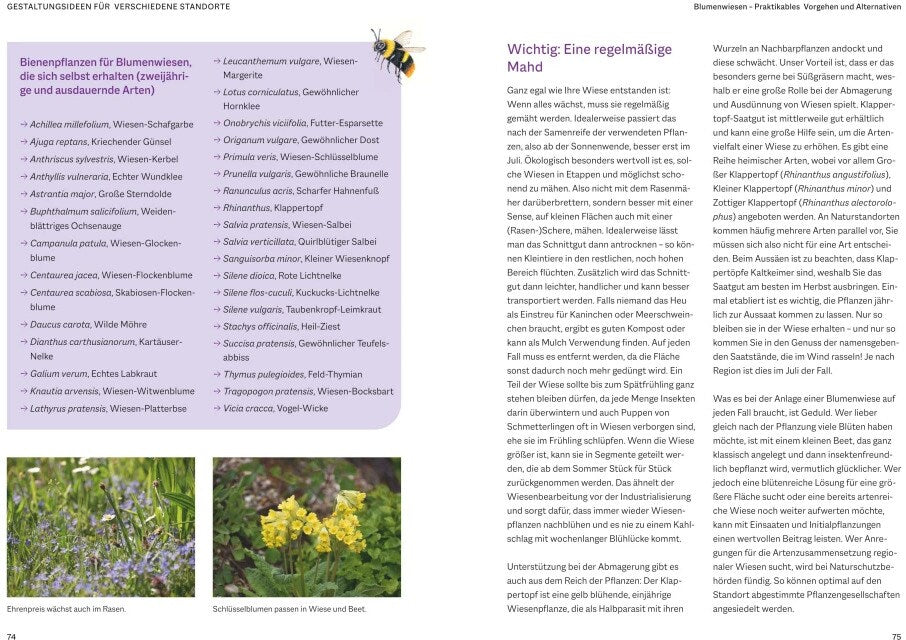 BLV Bienenfreundlich Gärtnern (Deutsch, 2023, Katrin Lugerbauer)