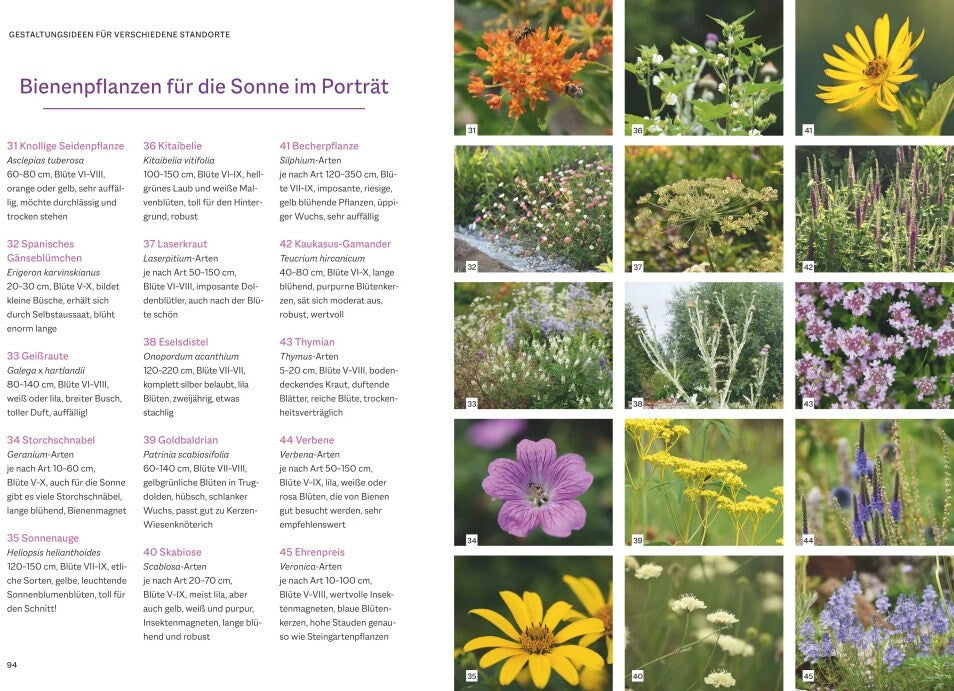 BLV Bienenfreundlich Gärtnern (Deutsch, 2023, Katrin Lugerbauer)