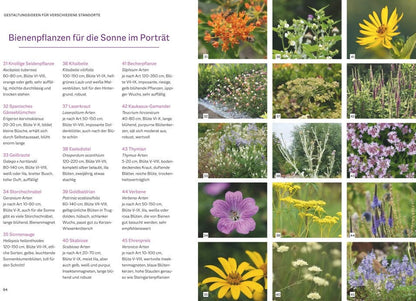 BLV Bienenfreundlich Gärtnern (Deutsch, 2023, Katrin Lugerbauer)