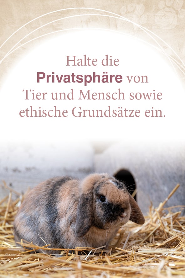 Schirner Mit Tieren kommunizieren (Deutsch, 2022, Abbas Schirmohammadi, Christiane Krieg)