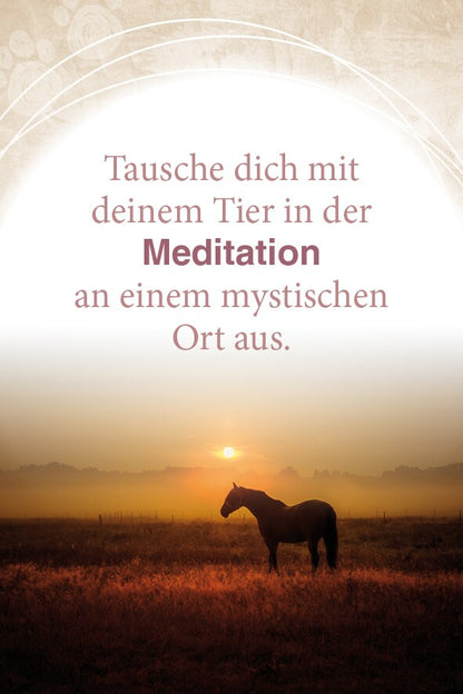 Schirner Mit Tieren kommunizieren (Deutsch, 2022, Abbas Schirmohammadi, Christiane Krieg)