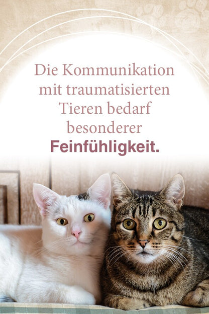 Schirner Mit Tieren kommunizieren (Deutsch, 2022, Abbas Schirmohammadi, Christiane Krieg)