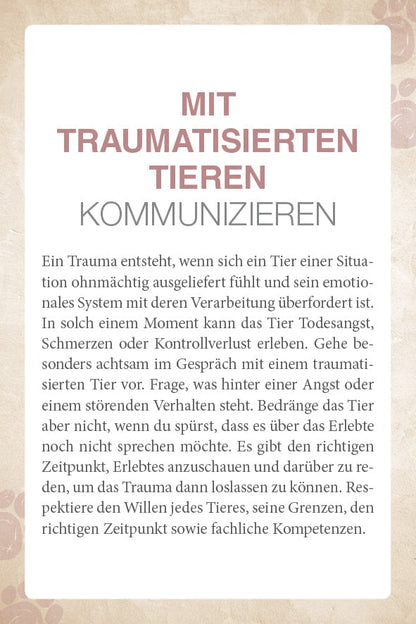 Schirner Mit Tieren kommunizieren (Deutsch, 2022, Abbas Schirmohammadi, Christiane Krieg)