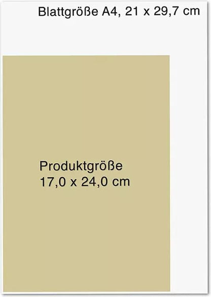 Droemer Knaur Schlank für Faule (Deutsch, 2021, Carsten Lekutat)