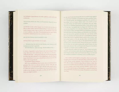 Thienemann Die unendliche Geschichte (Deutsch, 2019, Michael Ende, Eva Schöffmann-Davidov)