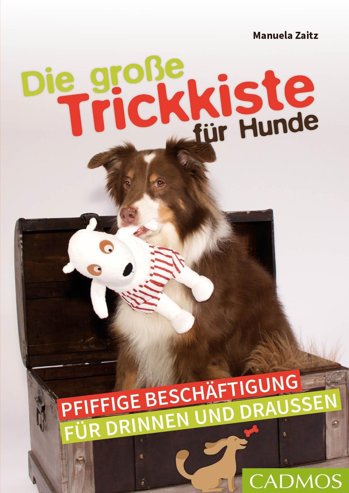 Cadmos / AV Buch Die große Trickkiste für Hunde (Deutsch, 2020, Manuela Zaitz)
