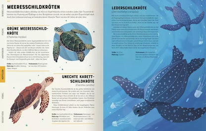 Ars Edition Das große Lexikon der Tiere (Deutsch, 2022, Jules Howard, Andreas Jäger, Jarom Vogel)