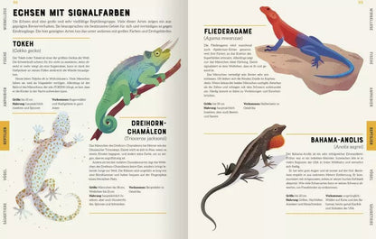 Ars Edition Das große Lexikon der Tiere (Deutsch, 2022, Jules Howard, Andreas Jäger, Jarom Vogel)