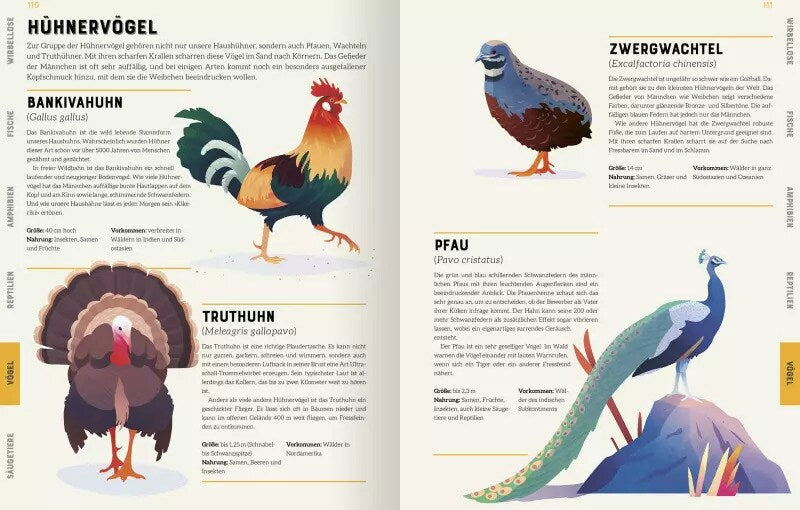 Ars Edition Das große Lexikon der Tiere (Deutsch, 2022, Jules Howard, Andreas Jäger, Jarom Vogel)