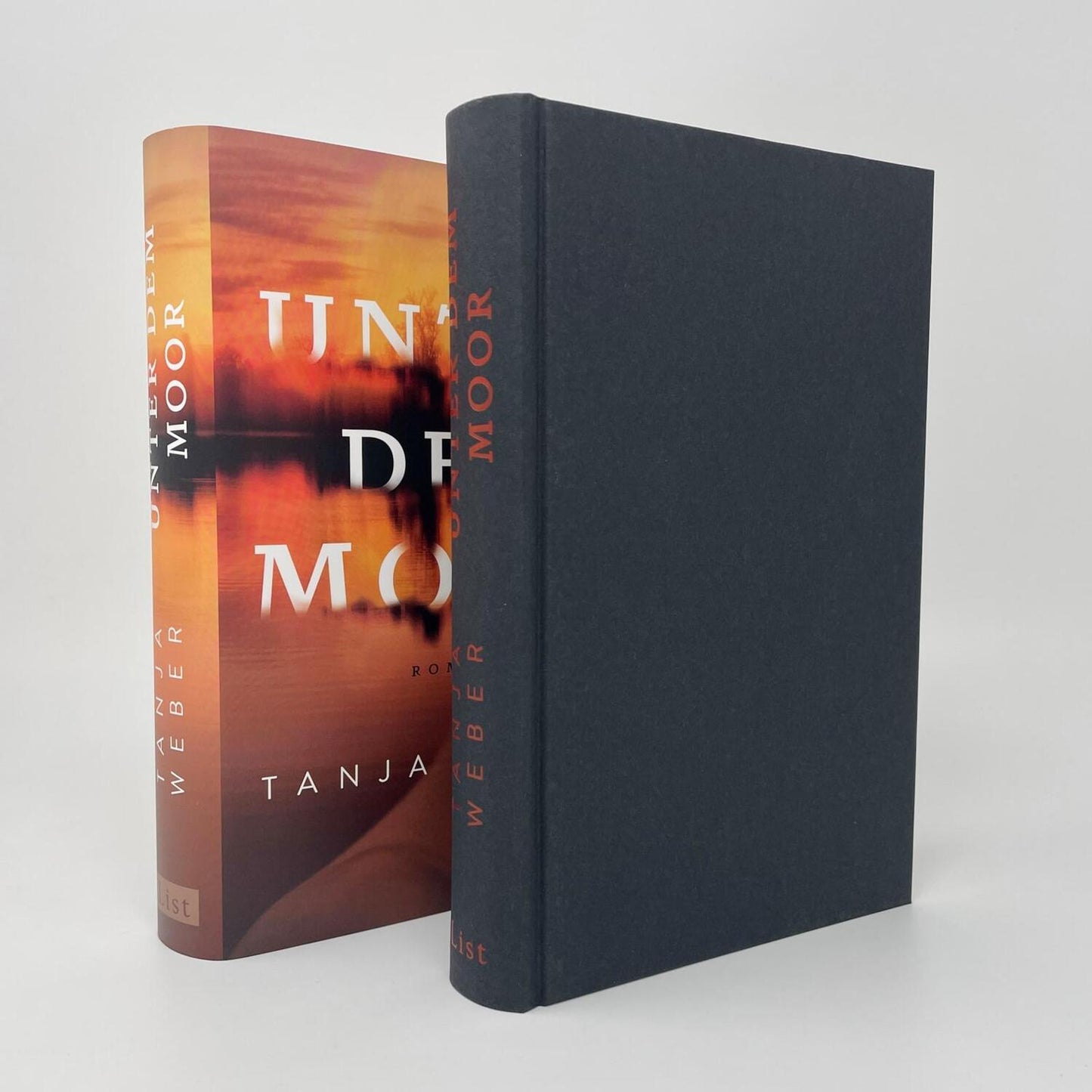 List Unter dem Moor (Deutsch, 2024, Tanja Weber)