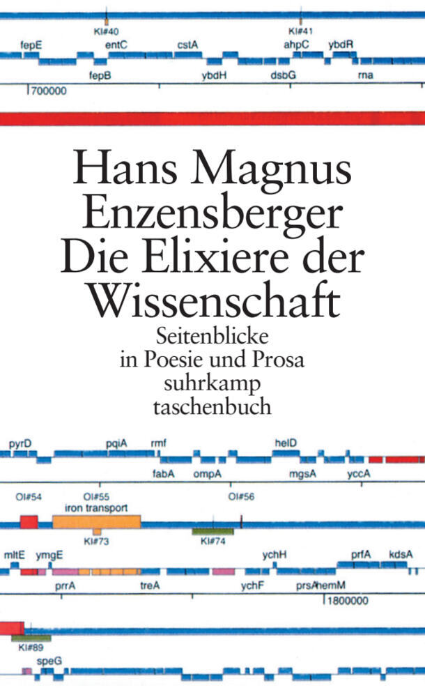 Die Elixiere der Wissenschaft (Hans Magnus Enzensberger)