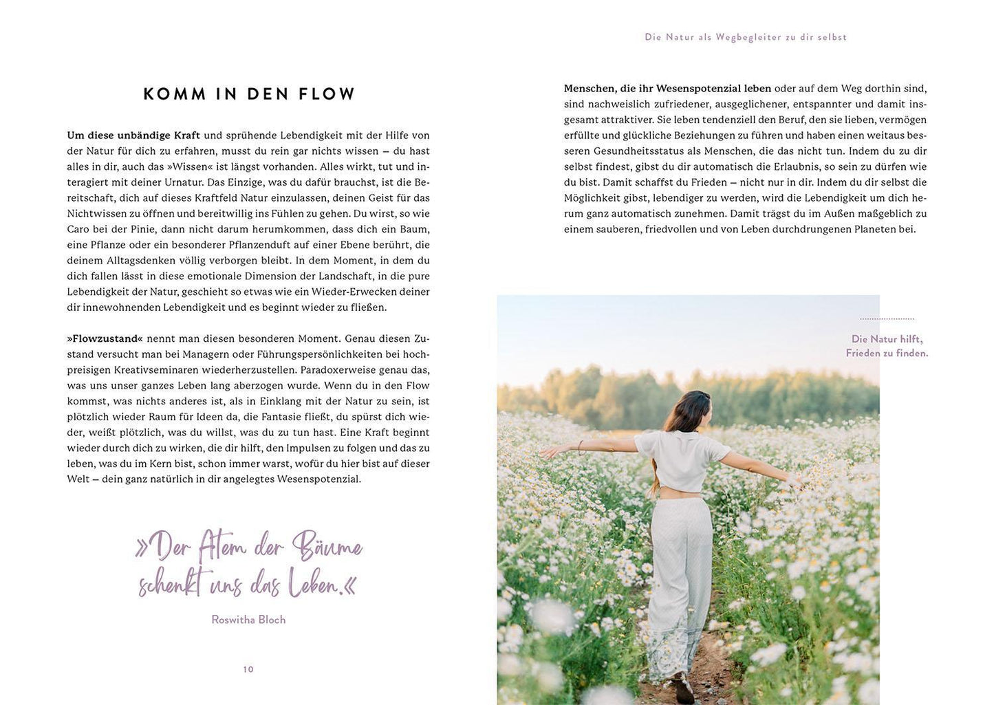 Nymphenburger Entfalte deine Persönlichkeit (Deutsch, 2023, Diana Zenz, Alfred Zenz)