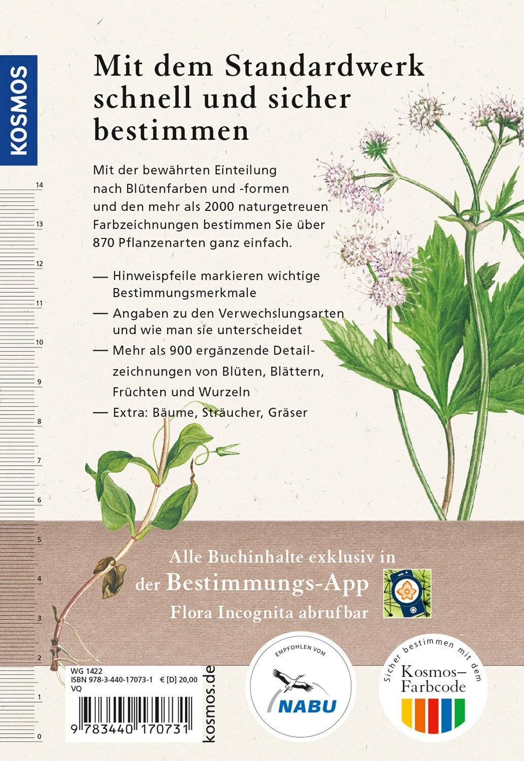 Kosmos Was blüht denn da - Original (Deutsch, 2021, Margot Spohn)