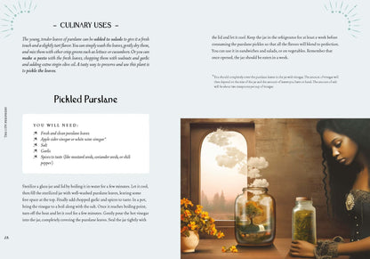 MVG Lattari:Kräuterkraft & Hexenmacht (Deutsch, 2024, Cecilia Lattari)