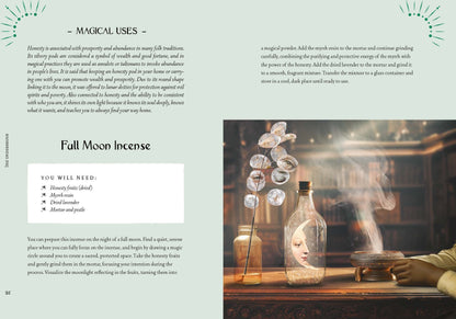 MVG Lattari:Kräuterkraft & Hexenmacht (Deutsch, 2024, Cecilia Lattari)