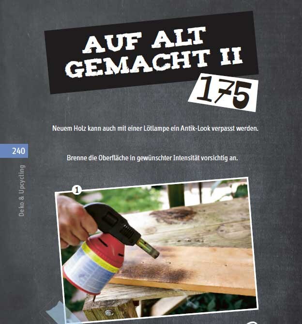 Frech Trick 17 - Heimwerken (Deutsch, 2021, Frank Rath)