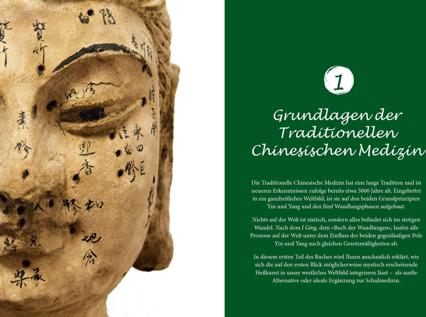 Riva Heilen mit TCM (Deutsch, 2021, Julia Spenner)