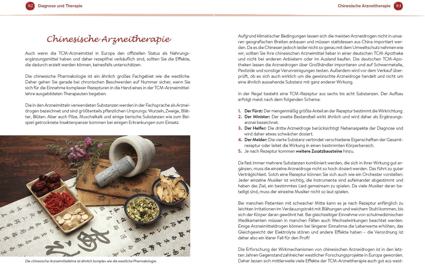 Riva Heilen mit TCM (Deutsch, 2021, Julia Spenner)