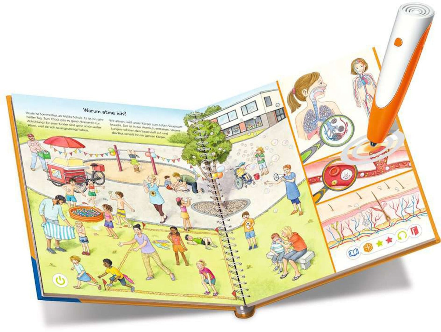 tiptoi tiptoi - Körper (Deutsch, 2022, Heike Tober, Constanze Schargan)