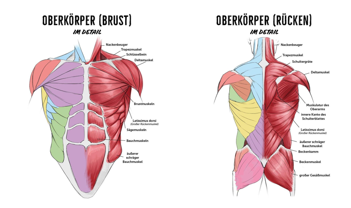 Edition Fischer Zeichnen like a Sir (Deutsch, 2022)