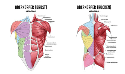 Edition Fischer Zeichnen like a Sir (Deutsch, 2022)