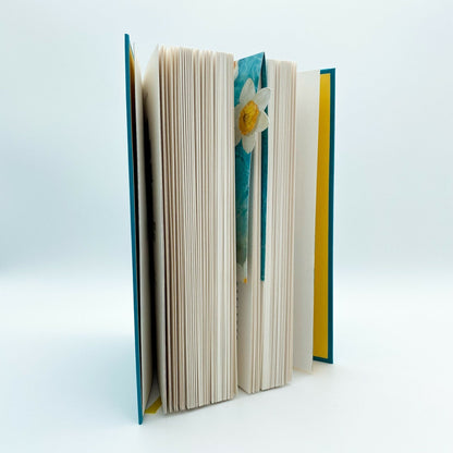 DTV It starts with us - Nur noch einmal und für immer (Deutsch, 2022, Colleen Hoover, Anja Gali?, Katarina Ganslandt)