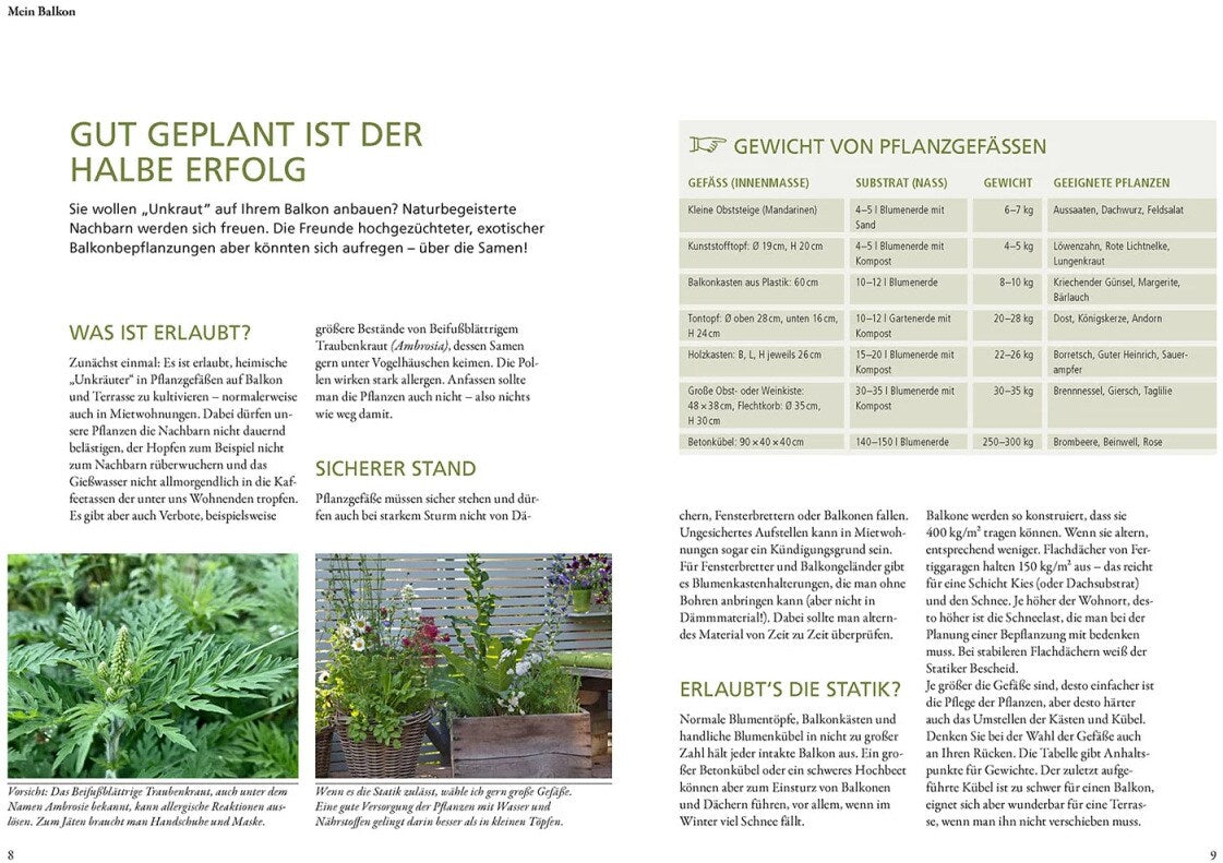 Kosmos Wildkräuter in Töpfen & Kübeln (Deutsch, 2023, Ortrud Grieb)