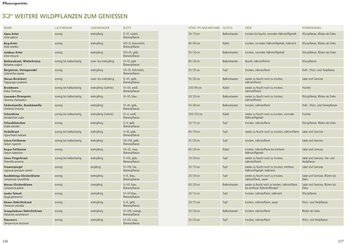 Kosmos Wildkräuter in Töpfen & Kübeln (Deutsch, 2023, Ortrud Grieb)