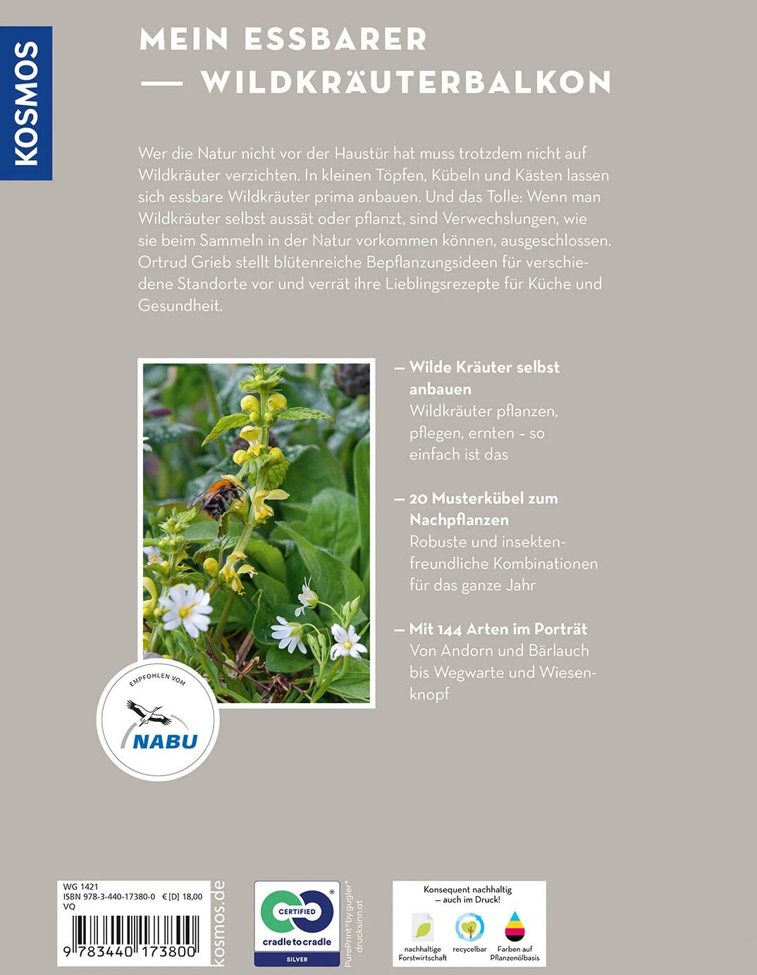 Kosmos Wildkräuter in Töpfen & Kübeln (Deutsch, 2023, Ortrud Grieb)