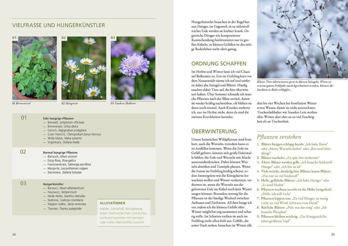 Kosmos Wildkräuter in Töpfen & Kübeln (Deutsch, 2023, Ortrud Grieb)