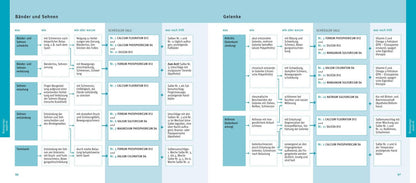 GU Schüßler-Salze, Quickfinder (Deutsch, 2018, Günther H. Heepen)