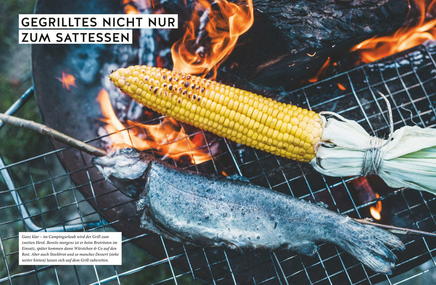 GU Die Familien-Campingküche (Deutsch, 2019, Sonja Stötzel)